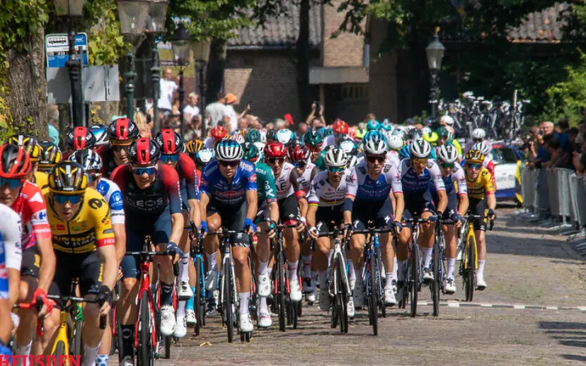 52299055710 d67f284f42 c 915x518 1