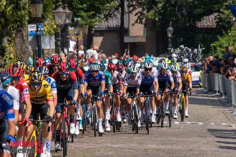 52299055710 d67f284f42 c