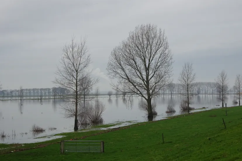 55555555555555555555