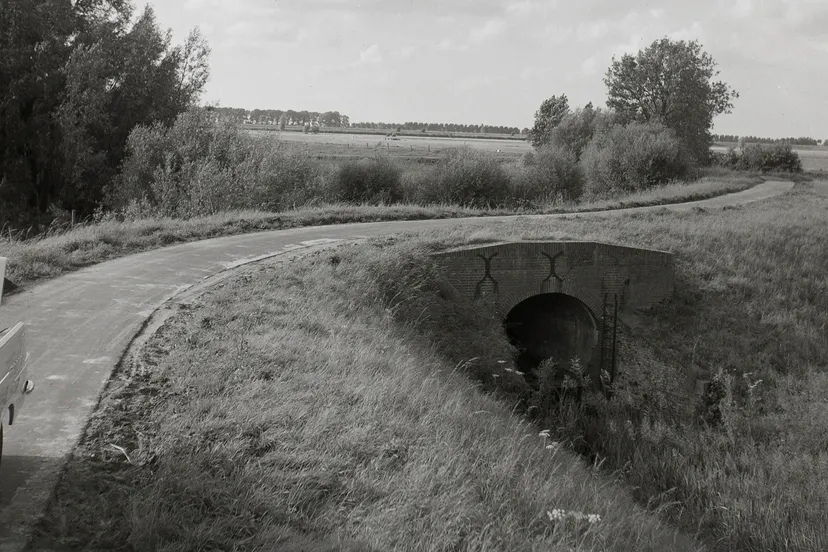 5555555555555555555555555555