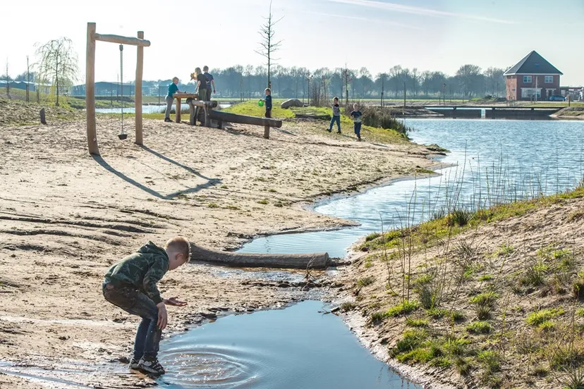 66649440 2269727106467423 8822117753767854080 n