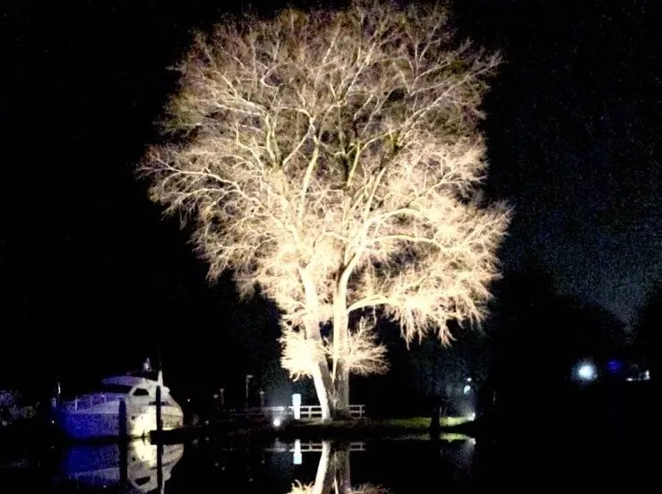 69d8e3ab 71ed 4b15 a937 03cd551cf0b5