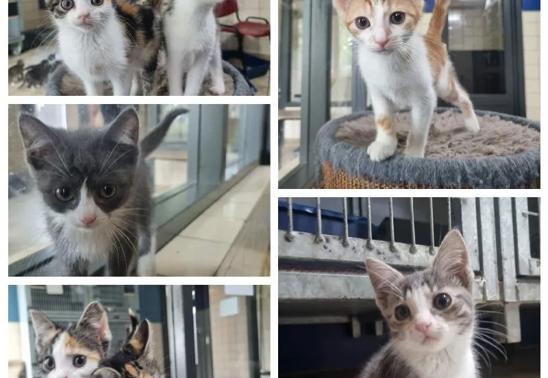 7eeccf30 af41 7f72 8bcdce315efaaf60