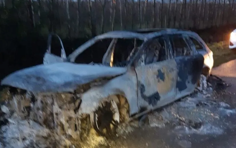 80070669 515846892351252 1857733742483734528 o 915x518