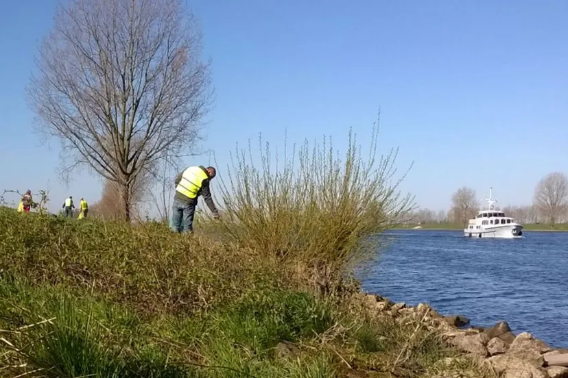 86993111 2739954726082081 2367569407313444864 o