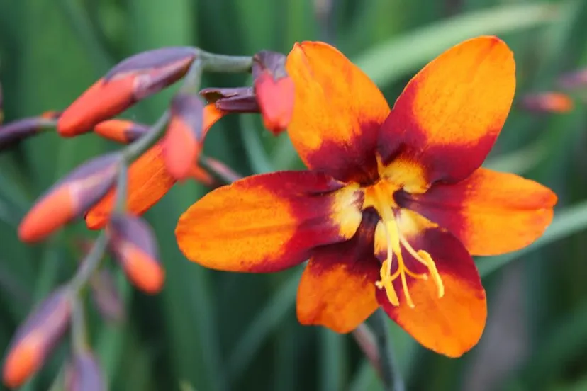 a6100681 e788 4537 8bf2 15ab20db5f3e