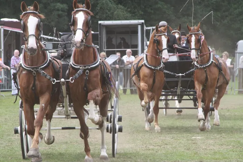 b68e613f 84df 4834 9458 866f825bebf4