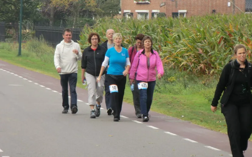 belgie 2014 014 915x518 1 915x518 1