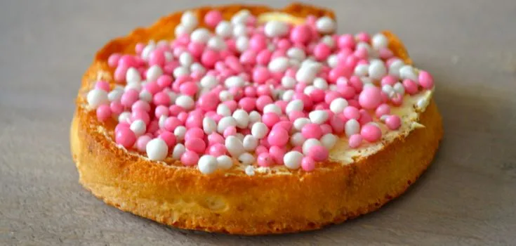 beschuit met muisjes