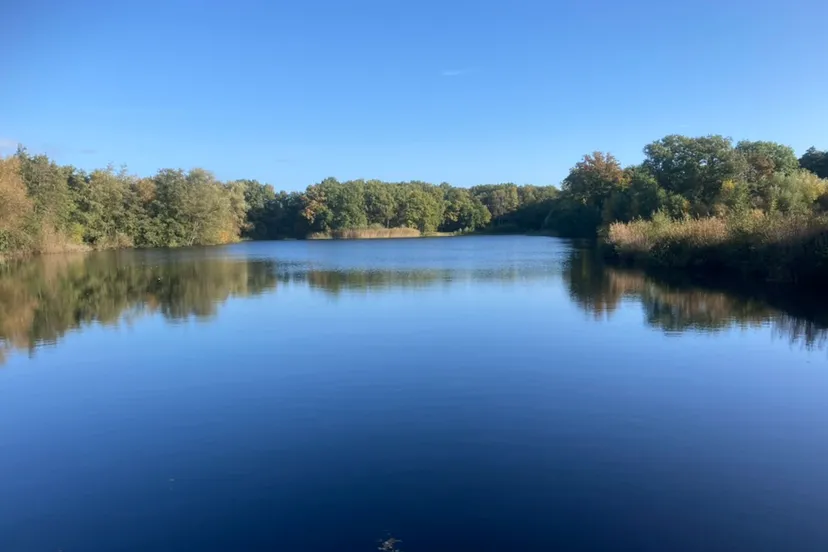 bf13823f 1db0 4458 8a5f 32548143fa0a 1 105 c