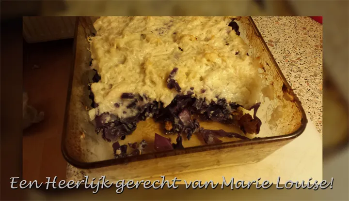 blog 16 foto