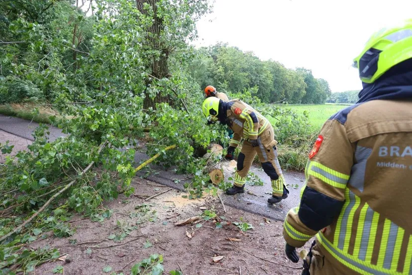 boom over de weg esscebaan 1
