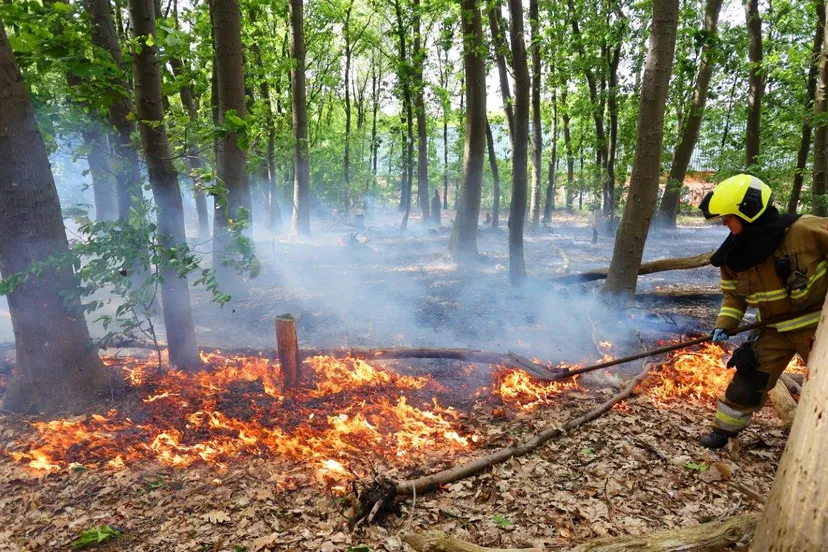 brand bos heidijk vlijmen 5
