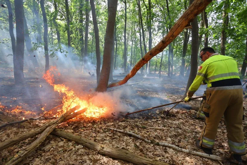 brand bos heidijk vlijmen 6