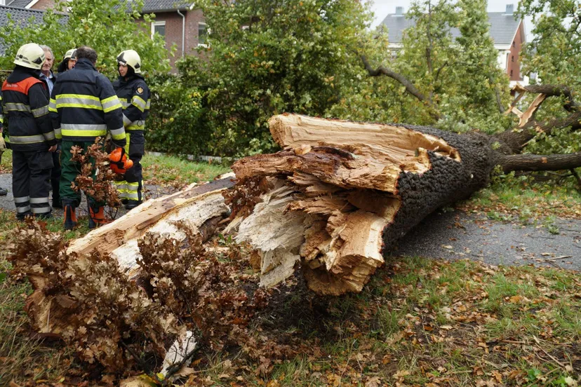 bw4wv2j9fvf12ux3ni1k9zpnw dsc09189