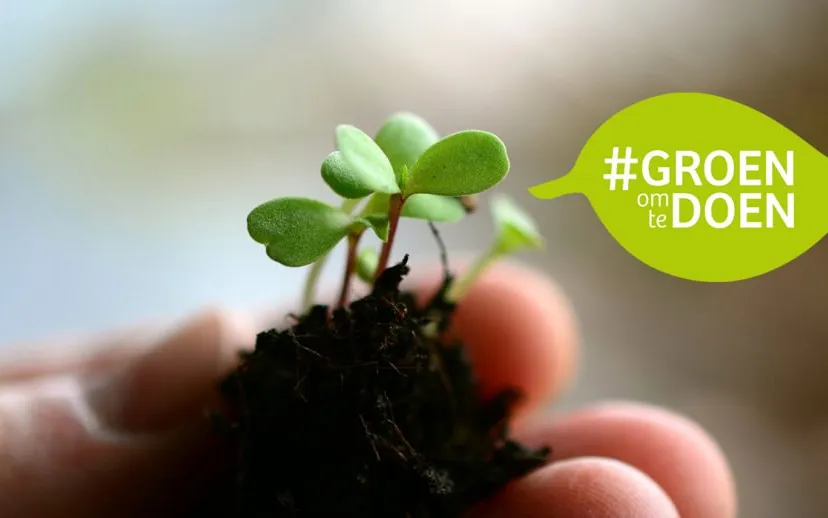 campagneheader 915x518