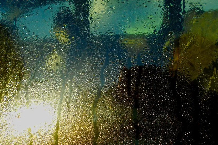 car window 1231472 1280