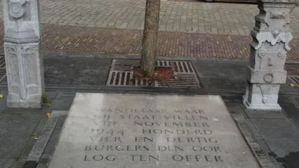 cmuyspfo8mzamovoaiywveltl naamloos 17