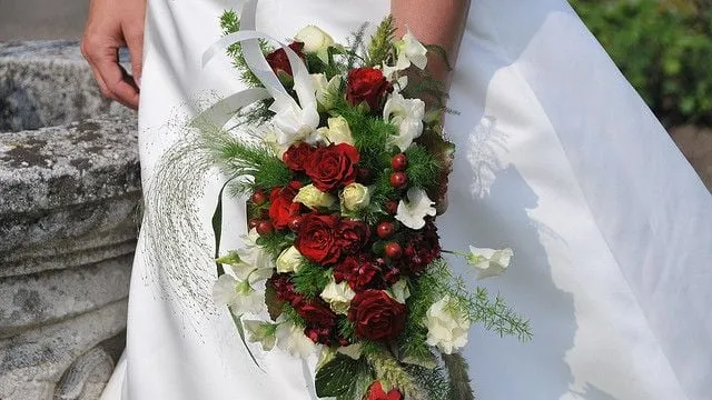 co3tiddgm36eg33gd4rex57gi ww140903 trouwen