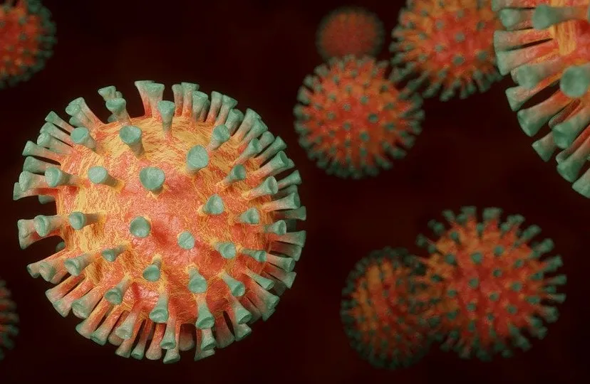 coronavirus 4972480 960 720