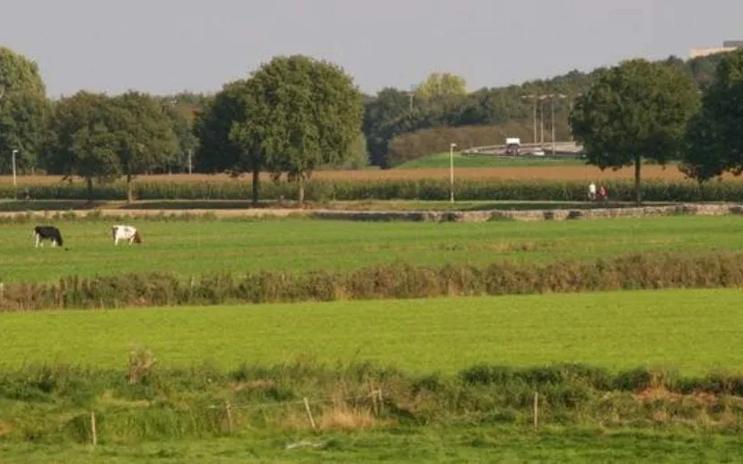 csm 7 reserve aansluiting 45 f9b7527363 915x518 1 915x518 1