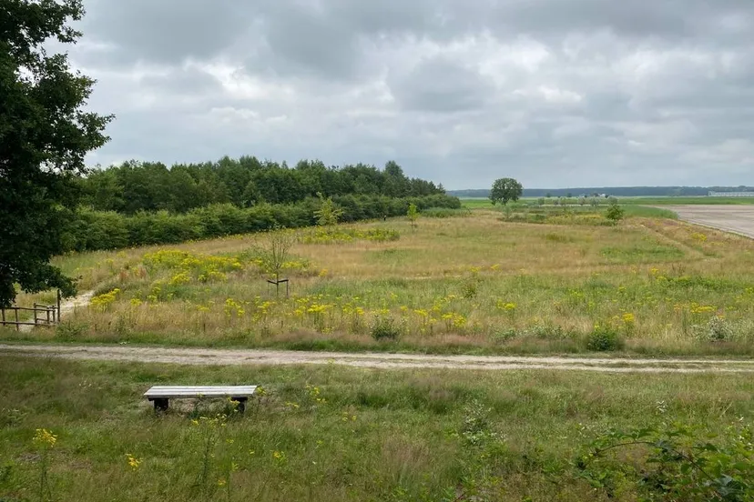 csm foto meerdijk 3a89abf95e