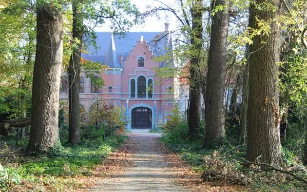 csm steenenbug foto door rick dusee 3e52d8a95f