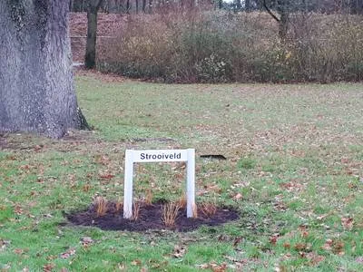 csm strooiveld duynhaeghe ac031cdd9f