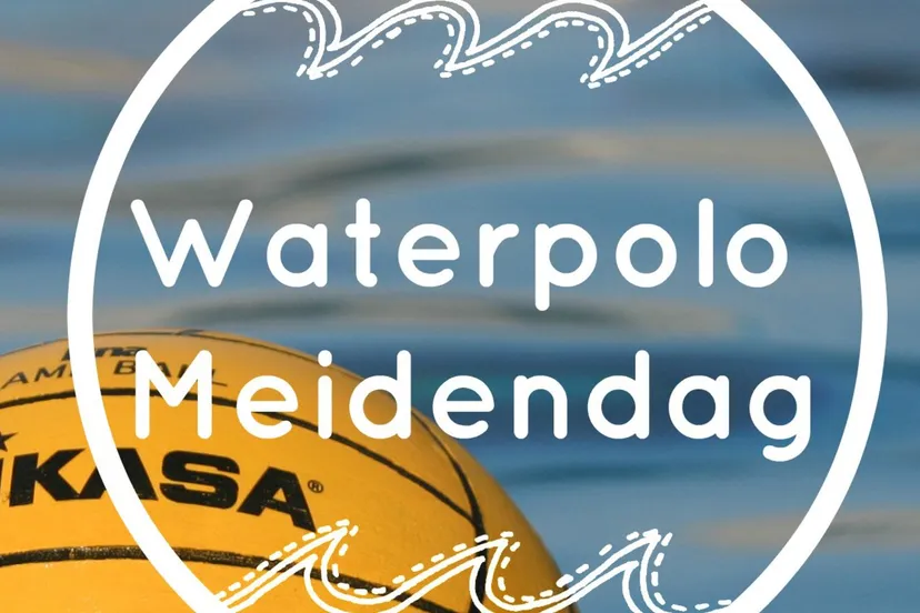 d4kg8qh7lbxqwkgs42bvcc63r floating water polo ball 1yny2m5a