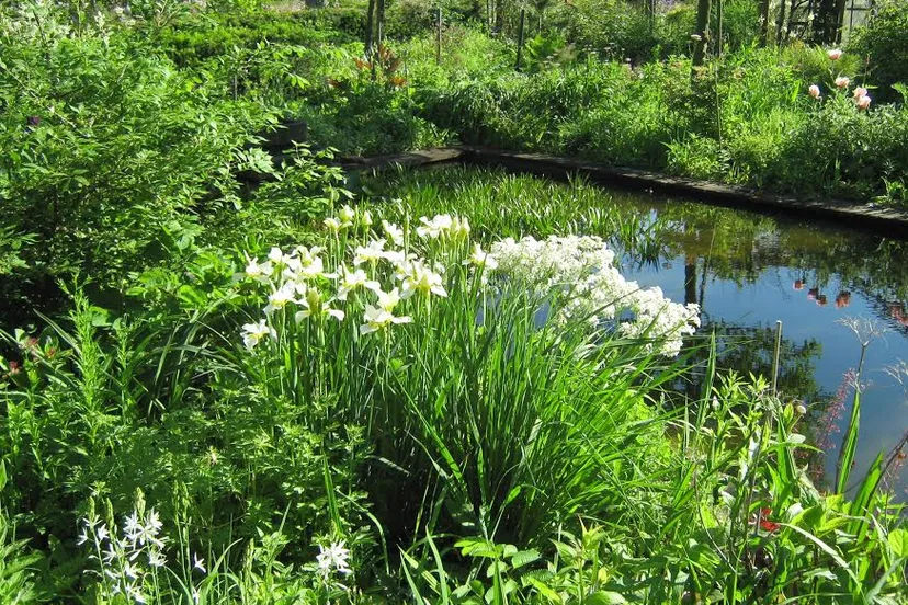 da0ed985 2155 4c33 9782 fc22fecf05e2