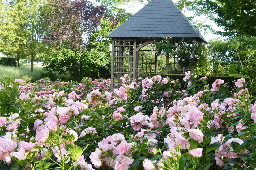 de dijkgaerd kaatsheuvel 2