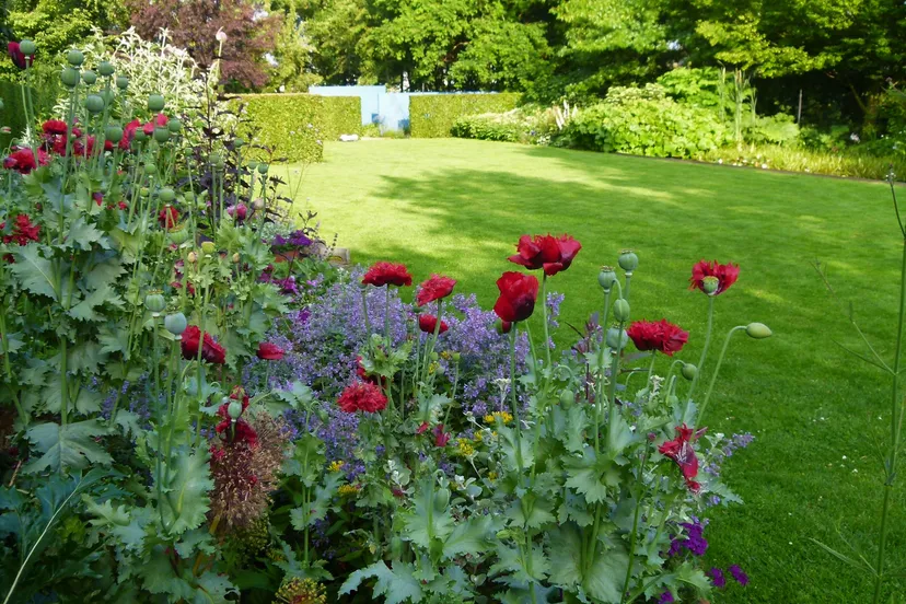 de dijkgaerd kaatsheuvel 2