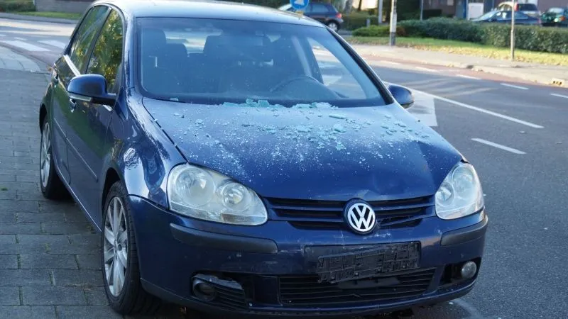 deabte4c3ieetdgj5bs5lx5fy image 4585459