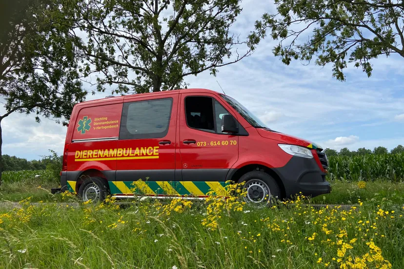 dierenambulance