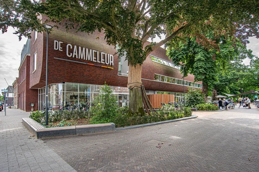 dongen de cammeleur