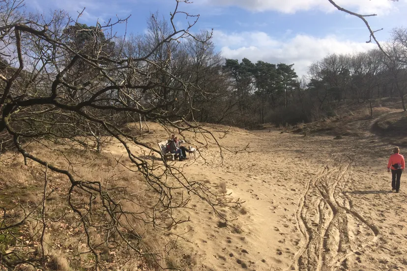 drunen natuur ldd duinen doorkijkje fiets sporen mensen bankje 1