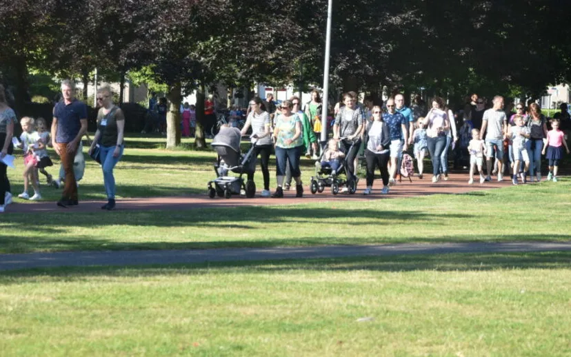 dsc 00691 1024x684 1 915x518 1