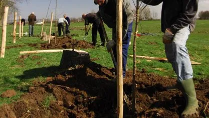 eic8j37f6ezraw9b30jp5f0p6 fotovoorpagina