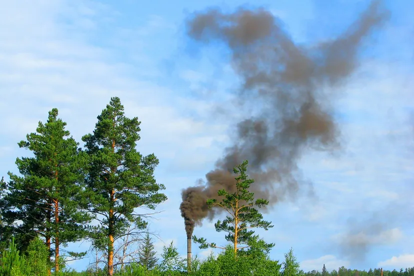 environment pollution 1355416 1280