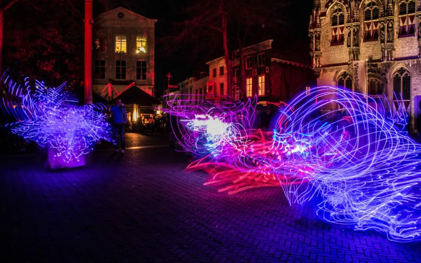 fat cat photography 915x518 1