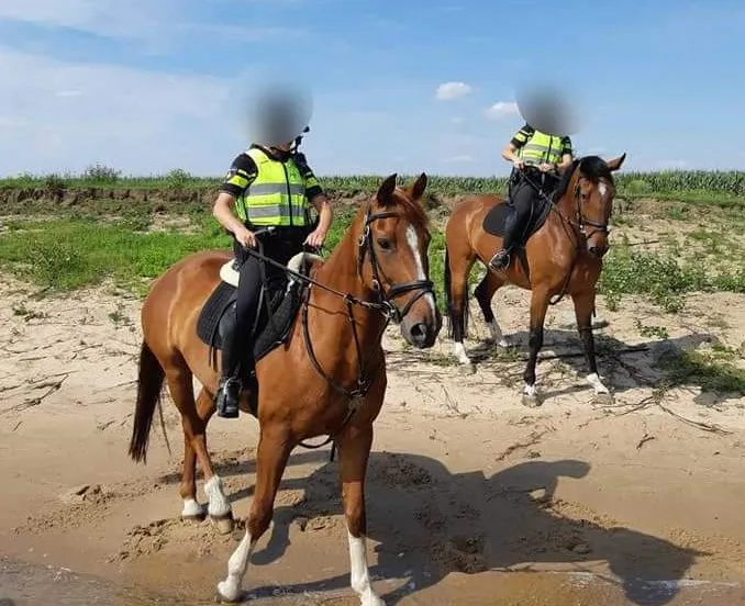 fb img 1596269240344