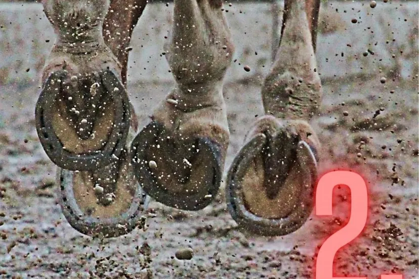 fb img 1698357531616 1