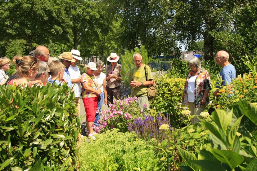 foto eetbare planten en kruiden