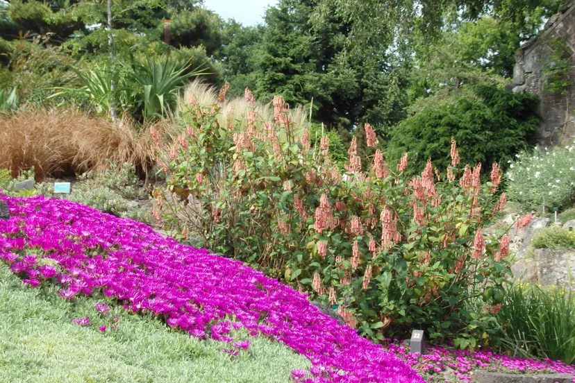 foto hoe hard is winterhard