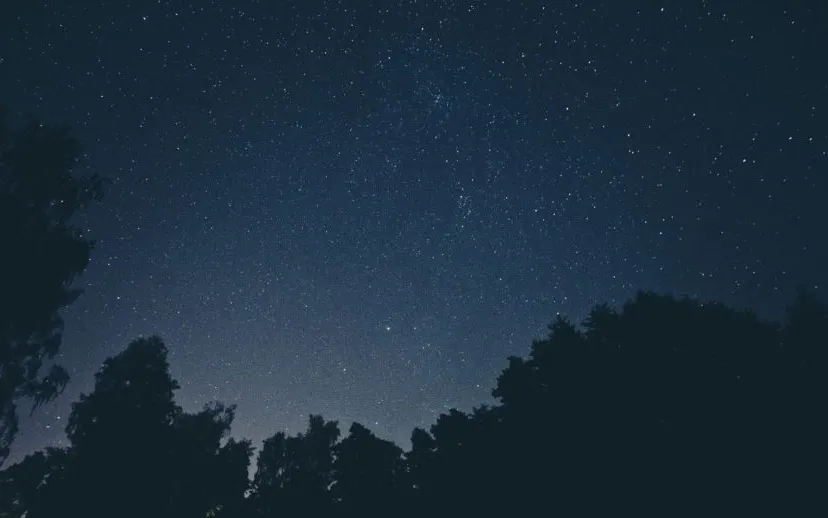 foto pb nacht van de nacht 915x518