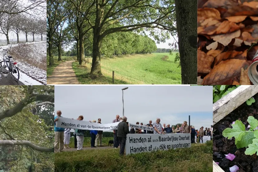 fotos natuur en klimaat