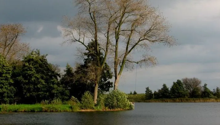 fw7x64kuvnk5nz0jo7vfw2wj9 ww140907 13hwielannie20051020 16 715x408