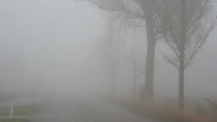 groot 141031 imst234