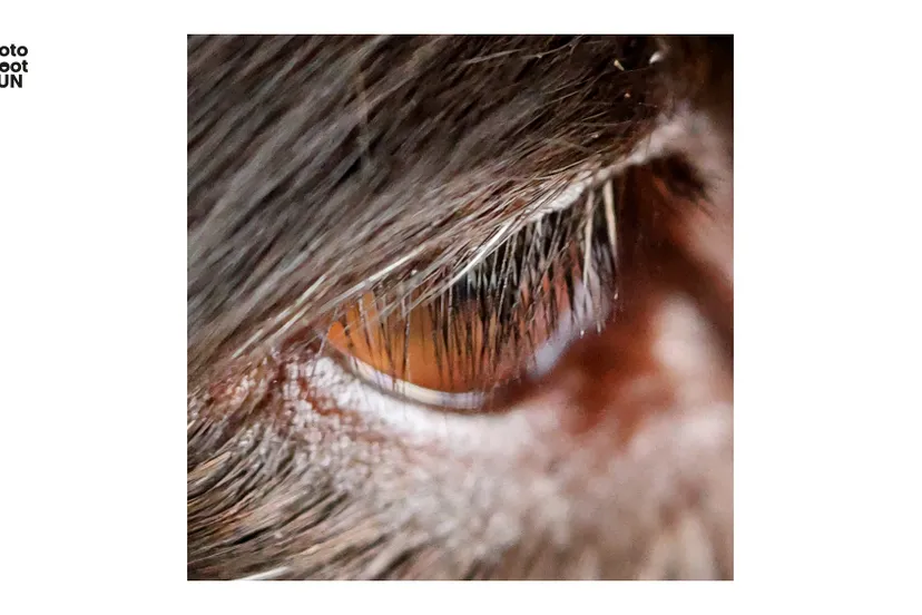 hn 202212 tineke struijk