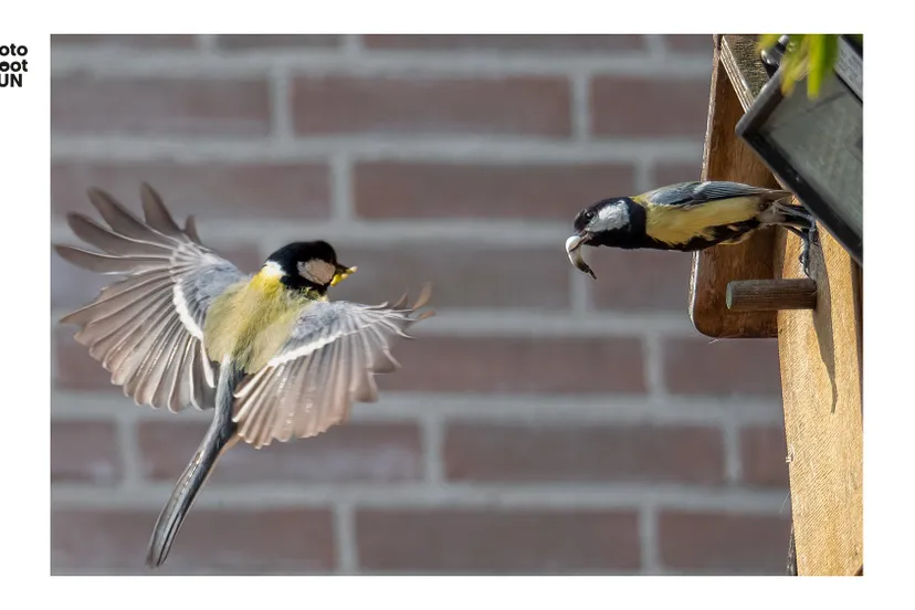 hn 202305 marion willems